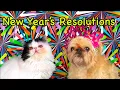New Year s Resolutions Goal Setting for Kids