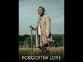 Forgotten Love film Plot