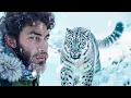 Download Lagu Dünya'nın En Zor Görülen Hayvanı: Kar Leoparı (Dondurucu Soğukta 16 Gün Sürdü)