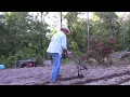 FARMERS ALMANAC STYLE PLANTING BY THE SIGNS
