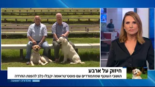 חדשות המהדורה הראשונה ערוץ 12 כלבי סיוע לנפגעי פוסט טראומה 