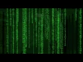 The Matrix raining code in Python OpenGL