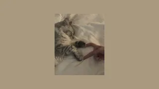 الشامي   يا ليل ويالعين   بدون موسيقى                                               دندنها