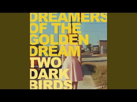 Two Dark Birds - The Song to End it All