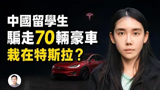 中國女留學生栽在特斯拉：她的背後，是一條涉及70多輛豪車的跨國走私鏈【文昭思緒飛揚569】