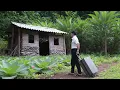 Download Lagu CEO gives up city life, rebuilds old house in countryside and moves to a peaceful house