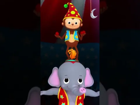 Animal Circus Show! 🎪🐘 #LittleBabyBum #Shorts
