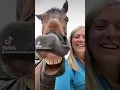 Download Lagu this a horse laughing