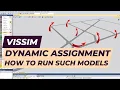 Vissim Tutorial - Dynamic assignment