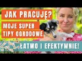 Download Lagu KTO PRACUJE W NASZYM OGRODZIE? Moje TIPY na efektywną pracę w ogrodzie. GREEN CANOE
