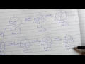 Data Structure Algorithms Circular Queue Insert Function