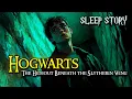 Download Lagu HOGWARTS:  The Hideout Beneath the Slytherin Wing | AMSR Bedtime Story