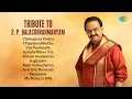 Download Lagu Tribute to S. P. Balasubrahmanyam | Chinnapura Ondru | Chippiyerukkuthu | Vaa Ponmayile