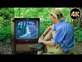 Bill Nye The Science Guy Full Episodes - FORESTS