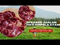 Download Lagu AMPLI TOA JUALAN KELILING HATI AMPELA, Telp/WA: 0852-1042-3883, toa mini