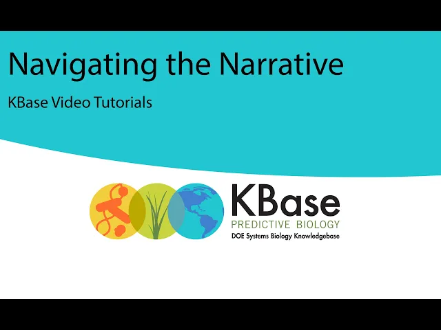 Narrative Interface Guide