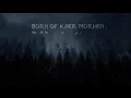 The Witcher - The Song of the White Wolf