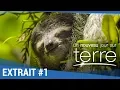 Download Lagu UN NOUVEAU JOUR SUR TERRE - Extrait \