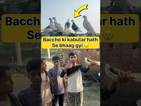Baccho ki kabutar bhaag gyi 😰 #shorts