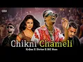 Download Lagu CHIKNI CHAMELI | MC STAN X DIVINE X KR$NA | REMIX | BASS TOWN