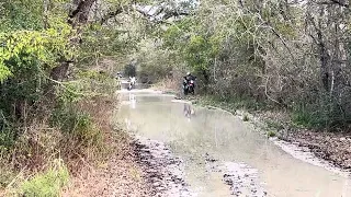 Kevin in second Shiro mud pit on 890R from Daniel s view