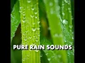 Exquisite Sunrise Rain Sounds