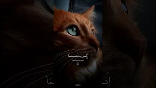 استخدموا الصوت 