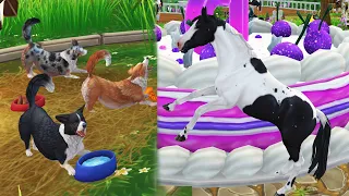 Free Birthday Horse + New Corgi Dogs in Star Stable