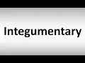 How to Pronounce Integumentary