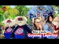 Download Lagu GOYANG LAGEDAY ‼️ OIYES ‼️ ARAK ARAKAN SINGA DEPOK 