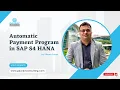 SAP APP Automatic Payment Program FBZP F110
