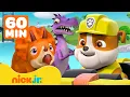 Psi Patrol | Rubble i Psi Patrol ratują dinozaury! Z Rockym, Marshallem i Skye | 60 minut | Nick Jr.