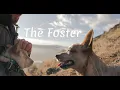 Download Lagu The Foster