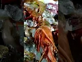 Download Lagu The Ocean \u0026 Us |  Exploring Our Deep Connection