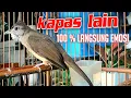 Download Lagu Pancingan EMOSI KAPAS TEMBAK GACOR.