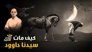 لماذا حجبت الطيور الشمس والهواء عن جنازة سيدنا داوود 