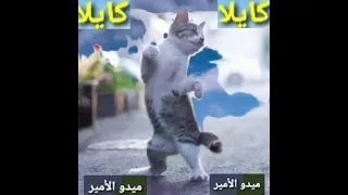 اغنية كايلا كايلولا حبيبت ماما    ميدو الأمير   اغنية علي اسم كايلا دندنها