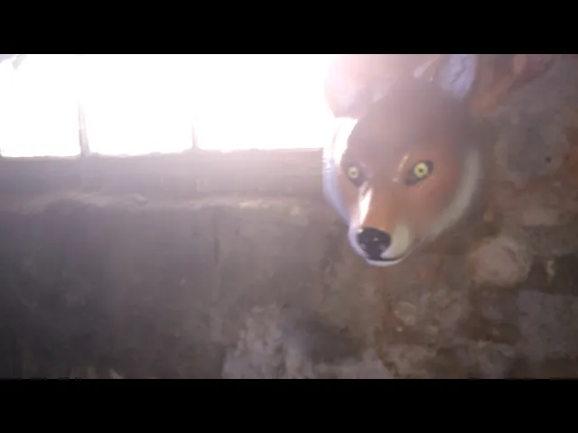 background images