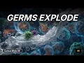 How Soap Kills Germs - Shocking Secrets You Need To Know