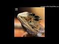 Yotto - Amaru (Original Mix)