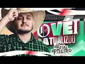 MELÔ DE BYE BYE - Biu Do Piseiro ( Áudio Oficial )