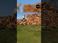 Download Lagu Deze houtstapel-methode vind je niet in het boek, maar hij werkt wél! 🔥🪵