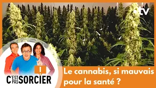 Le cannabis, si mauvais pour la santé ? - C'est pas sorcier [Intégrale]