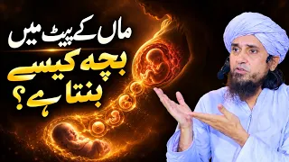 Baccha maan ke pet me kaise Banta hai | Mufti Tariq Masood | @IslamicYouTube2