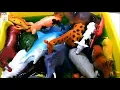 Download Lagu Learn Sea Animals, Farm Animals Wild Zoo Animals names English Korean 바다동물 농장동물 동물원동물 야생동물 이름 배우기!!