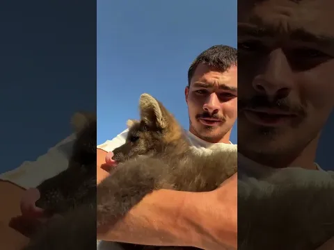 Antes de continuar: você saberia dizer quem é esse carinha só olhando pra ele? 👀