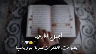 أجمل الأدعية بصوت القارئ حمزة بوديب حالات واتس آب دينية ستوريات انستا أدعية  مقاطع قصيرة رمضانية دندنها