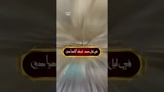 صلى عليك الله يا علم الهدى ما سار ركب او ترنم حادي دندنها