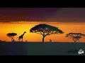 DBN Gogo, Scotts Maphuma, Tycoon & CowBoii - DLALA GOGO (Lyrics)