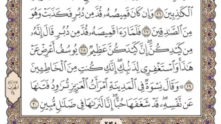 سورة يوسف مكتوبة محمد أيوب 